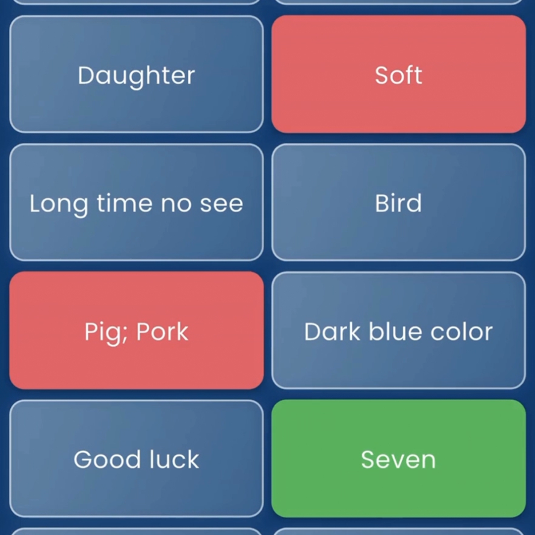 Vocabulary grid interface